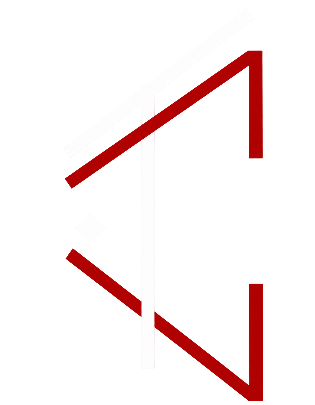 Logo TEAM COUTO